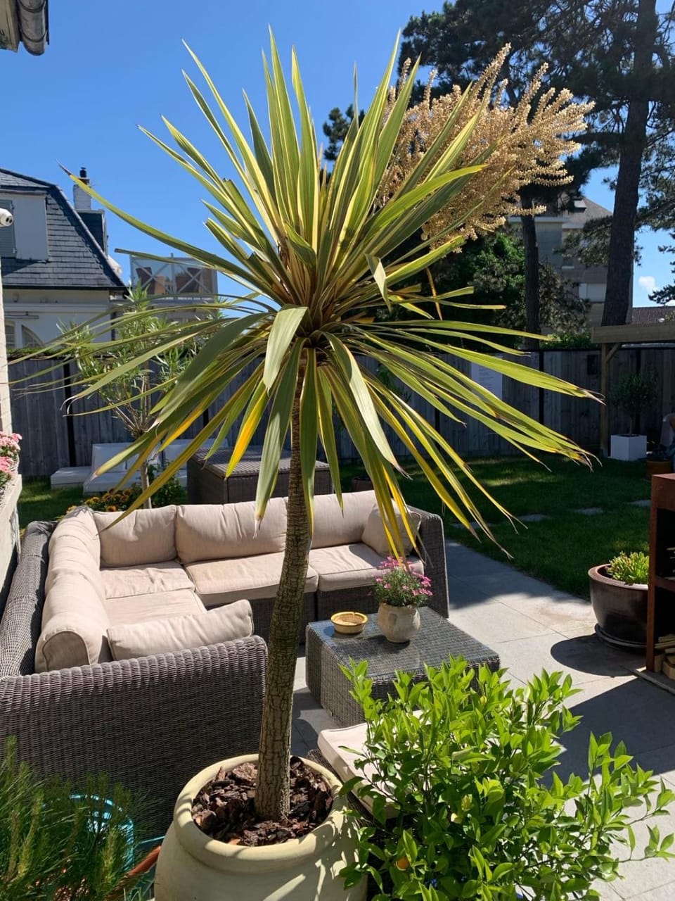 B&B Villa Navy Bed and Breakfast in Koksijde