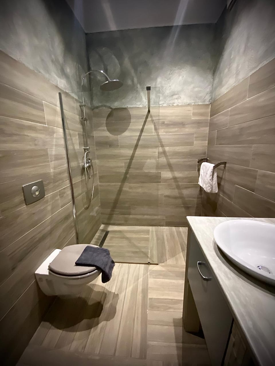 Shower, Toilet