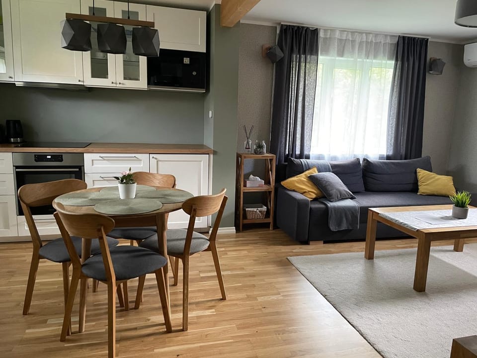 Kitchen or kitchenette, Living room, Dining area, stove