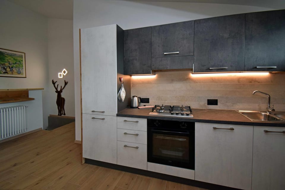 Legno Vecchio-Padola-Dolomiti-[rustic & modern] Apartment in Veneto
