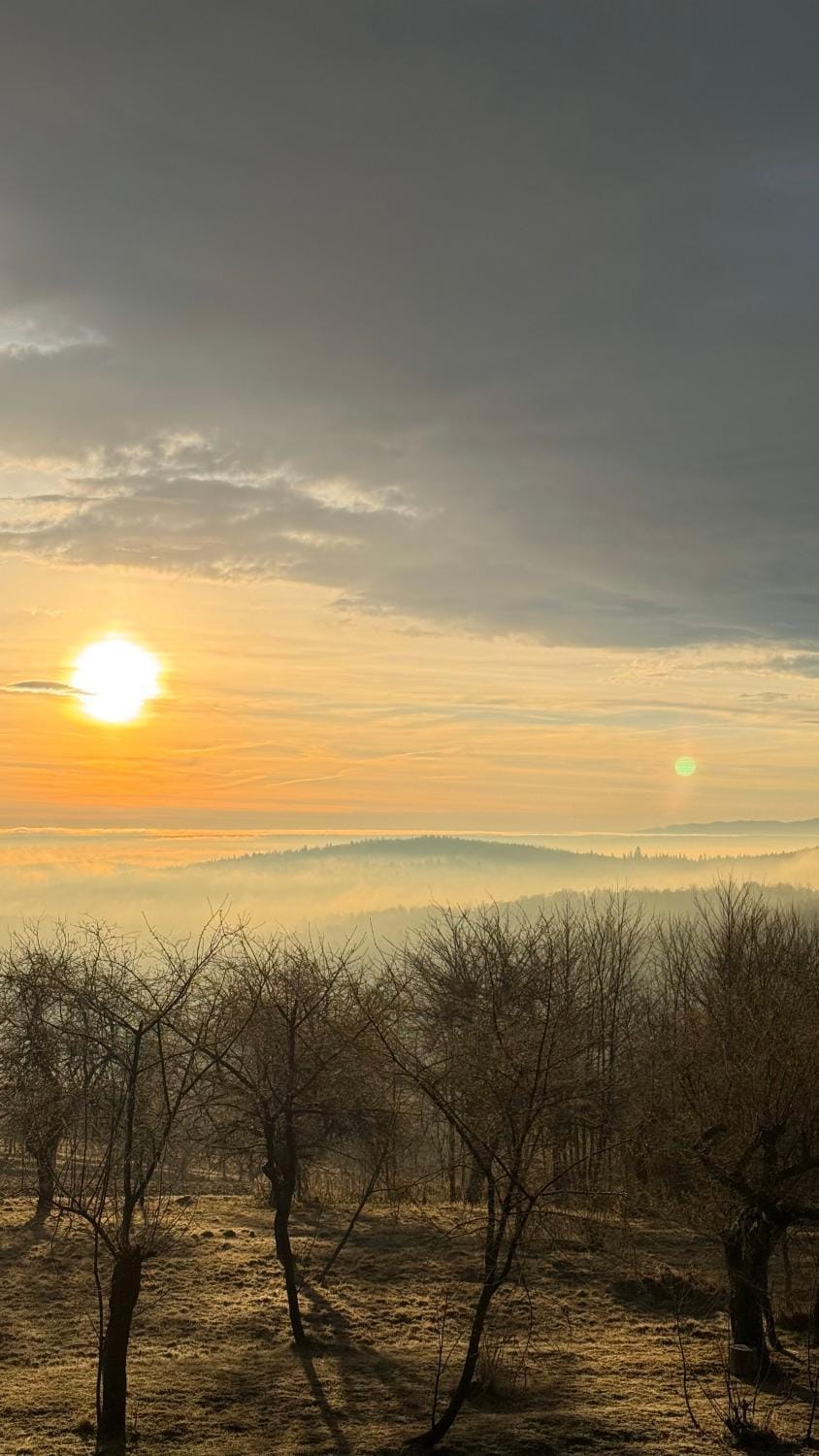Natural landscape, Sunrise