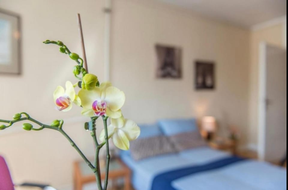 Green apartment SLAVIJA Apartment in Belgrade