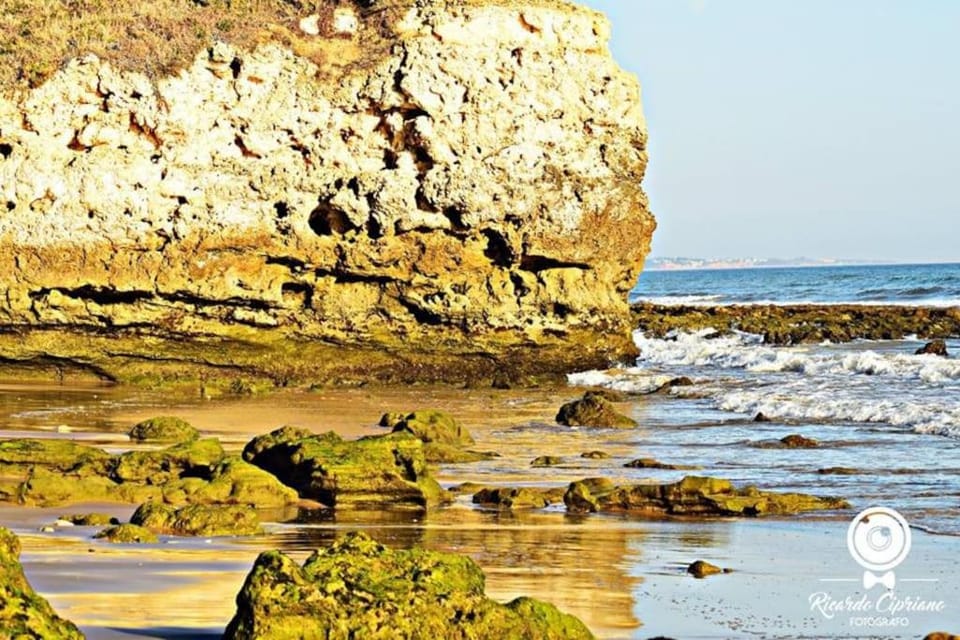 Nearby landmark, Natural landscape
