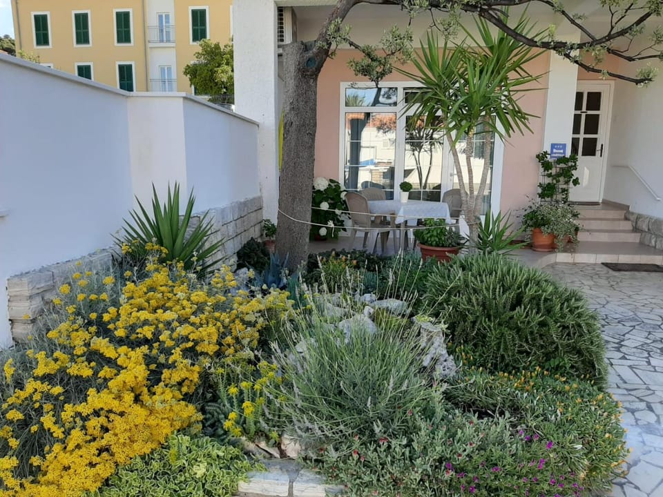 Property building, Garden view
