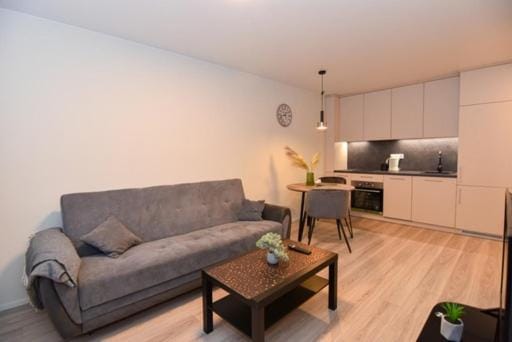 Naujai įrengtas 2-jų kambarių butas Apartment in Lithuania