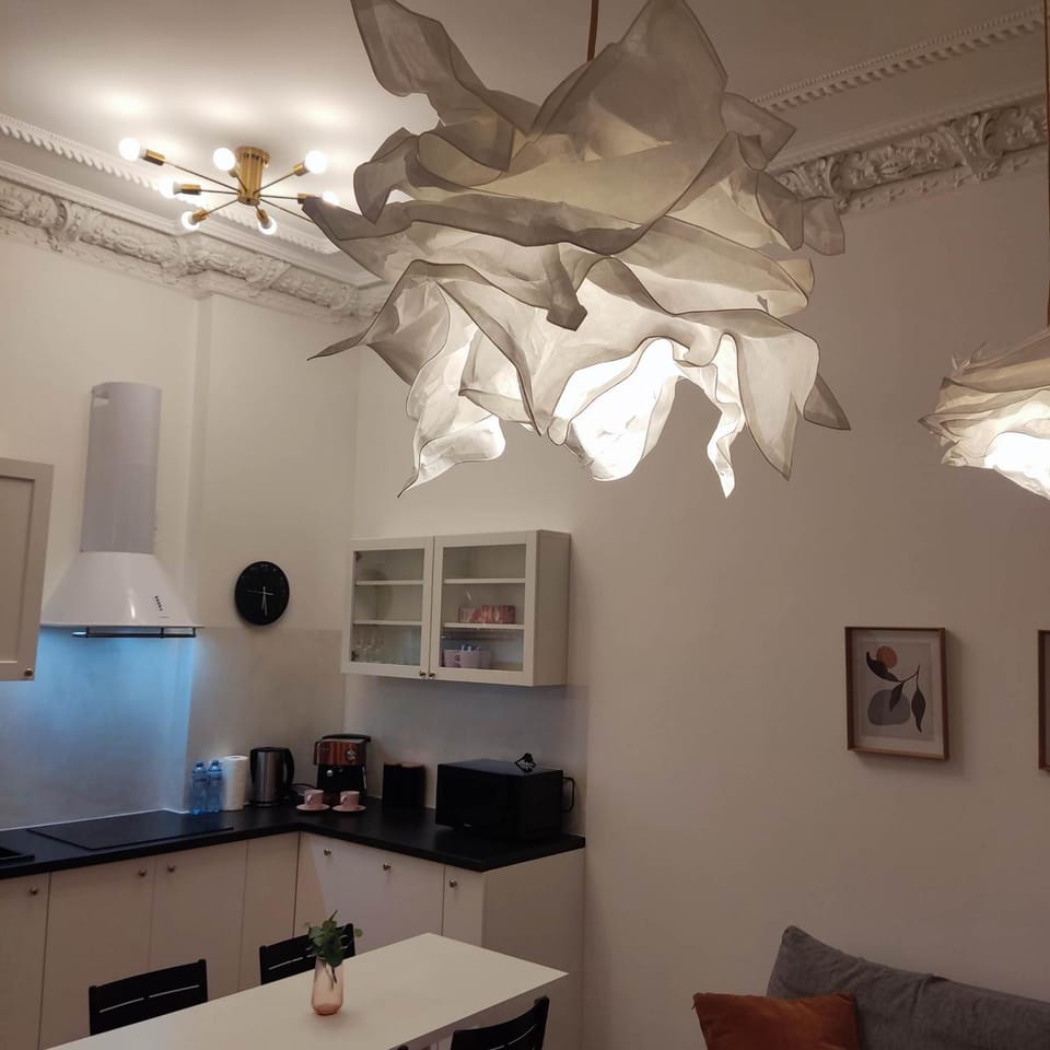Kitchen or kitchenette, Dining area, stove