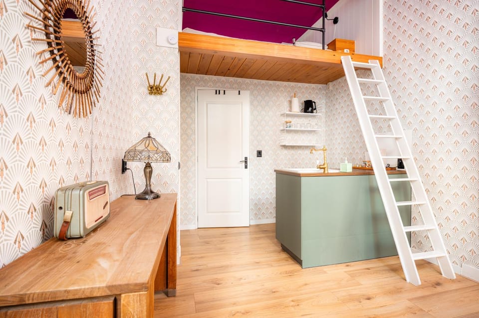 The Disco Duck B - city centre Zwolle Apartment in Overijssel (province)