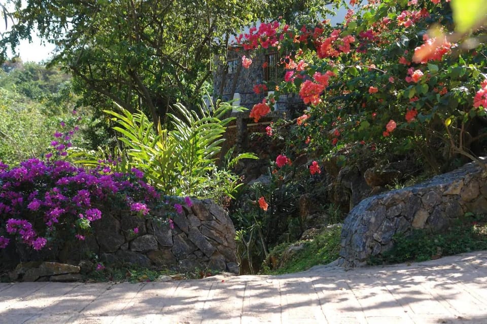 Natural landscape, Garden