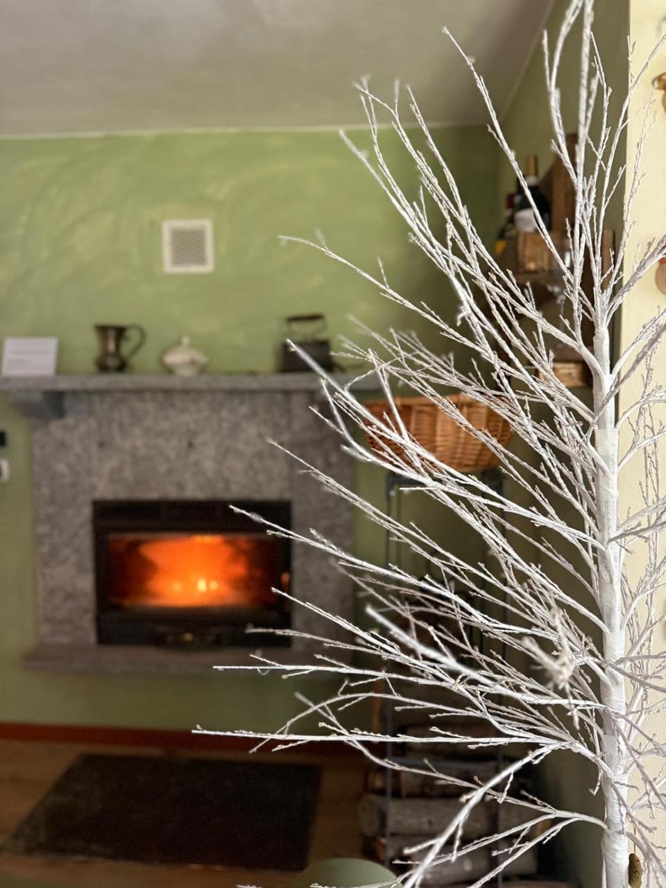 Casa degli Alpaca Apartment in Province of Lecco