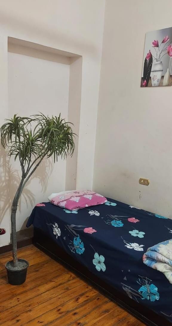 Grand Safari Hostel Hostel in Cairo