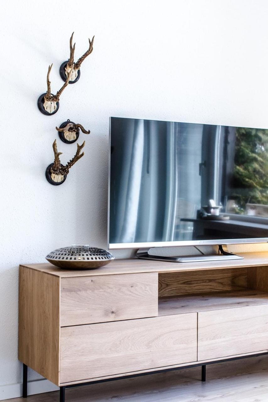 TV and multimedia