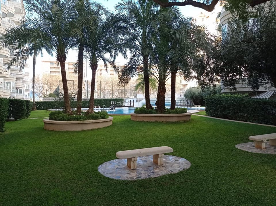 Patio, Garden, Garden view