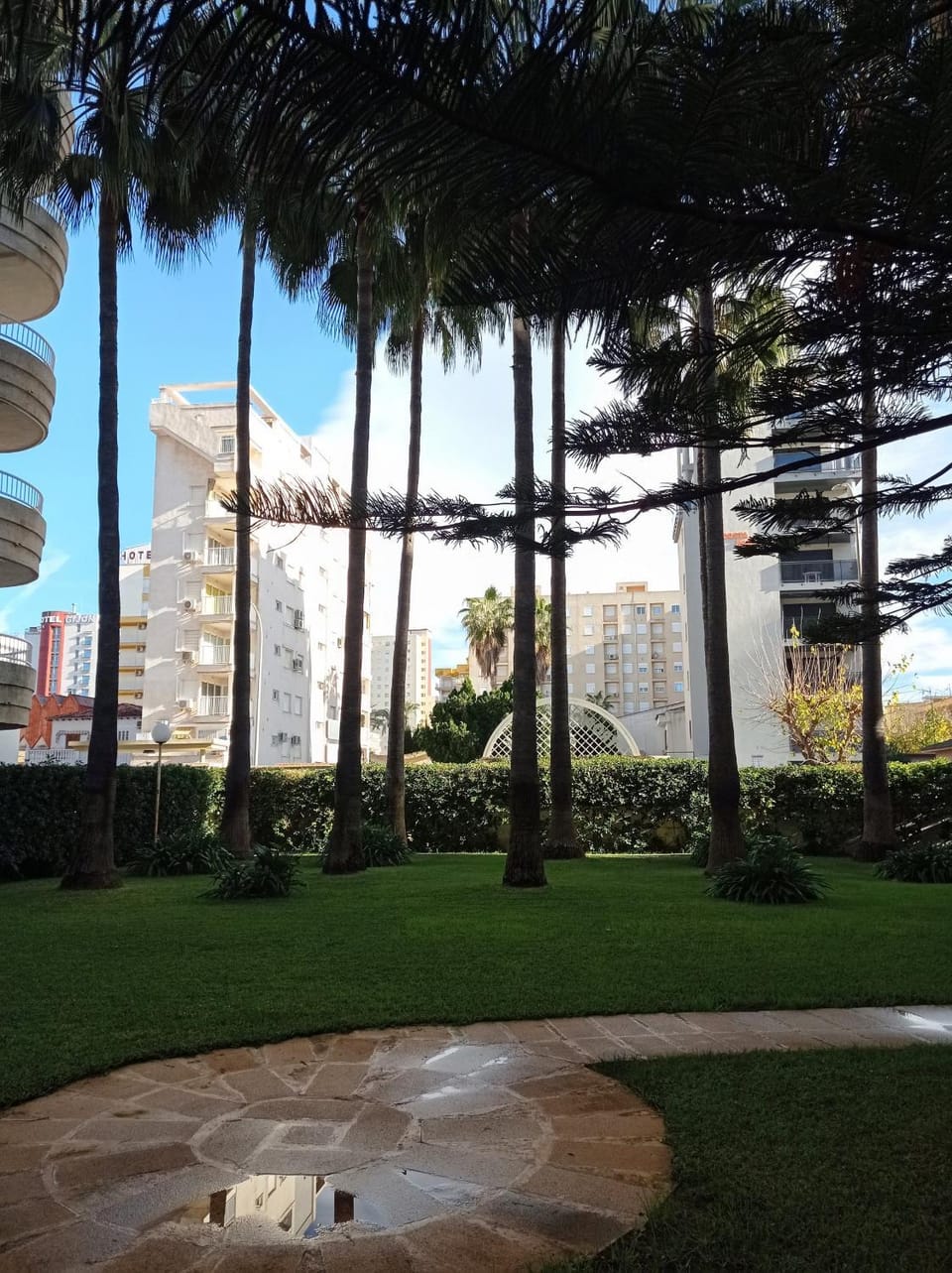 Patio, Garden, Garden view