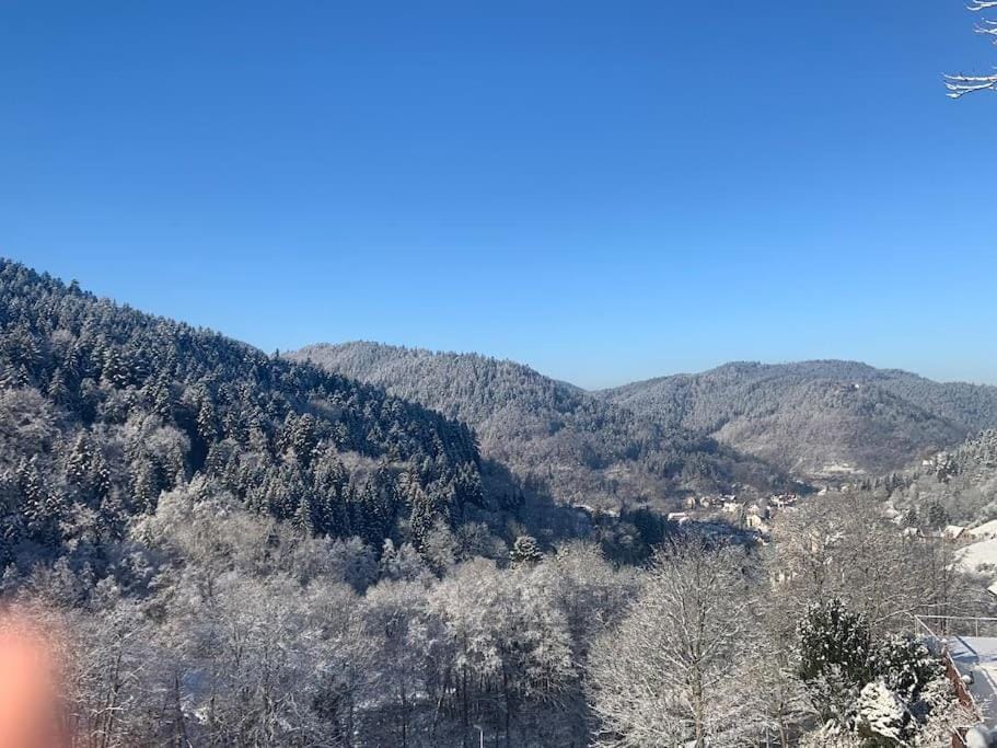 Mountain view