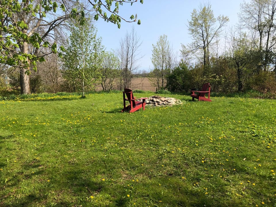 Spring, Natural landscape, Garden view
