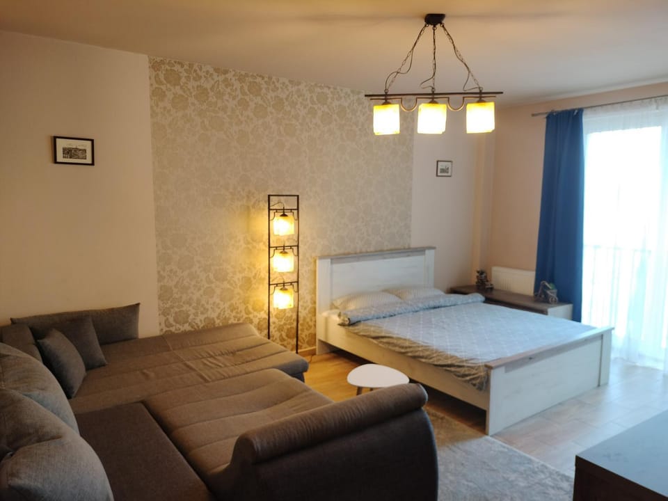 Bed, Living room, Photo of the whole room, Seating area, Bedroom