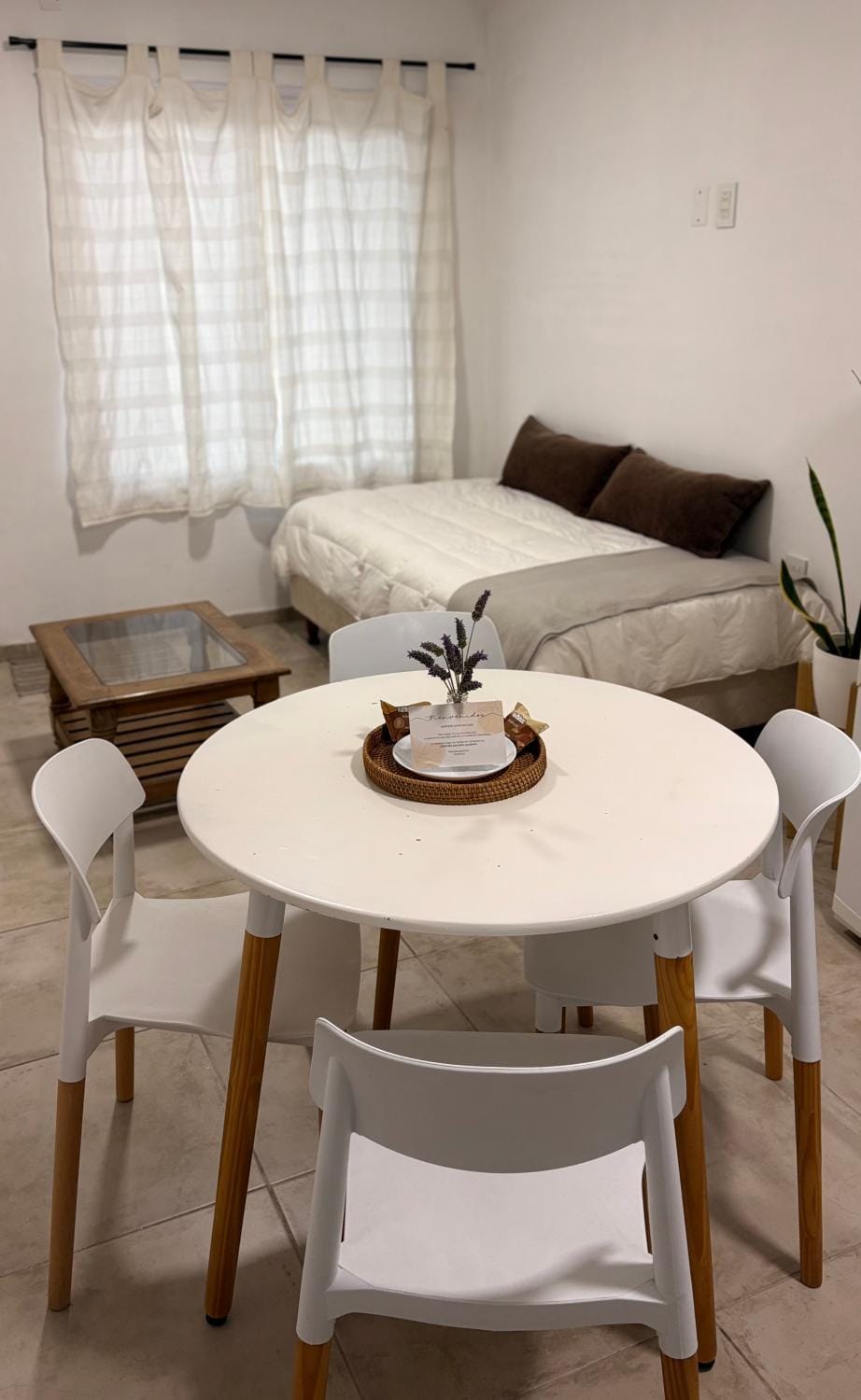Departamento Hilario Apartment in San Rafael