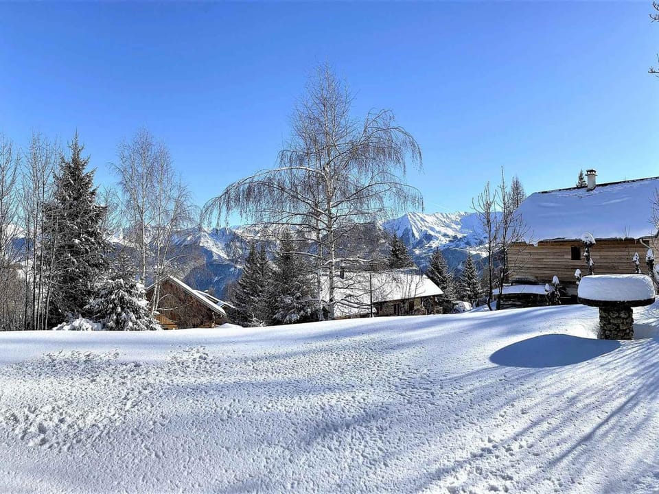 Appartement Chalet 46m², Garage, Proche Pistes, WIFI - FR-1-267-246 Apartment in Villarembert