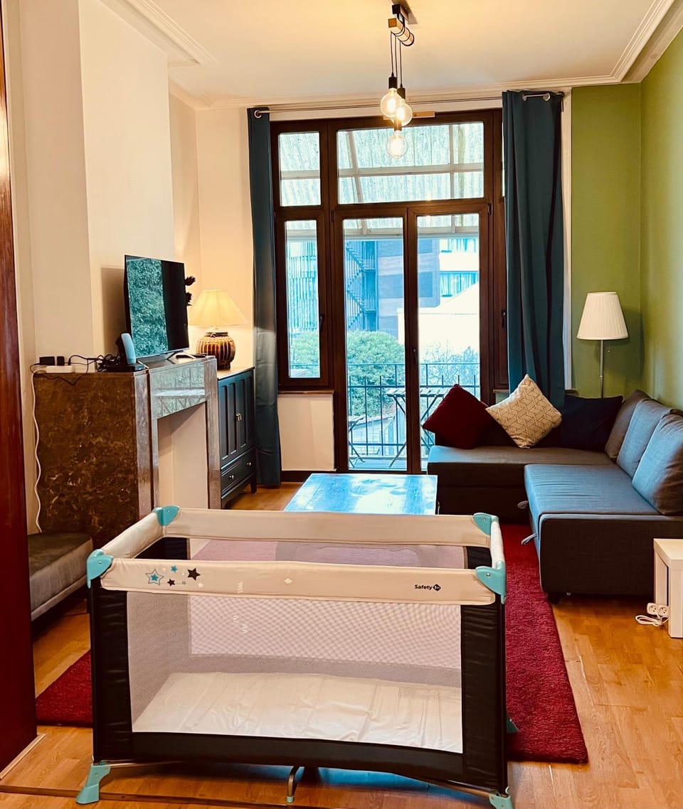 Cozy, comfortable apt, well located - EU ULB VUB Apartment in Ixelles