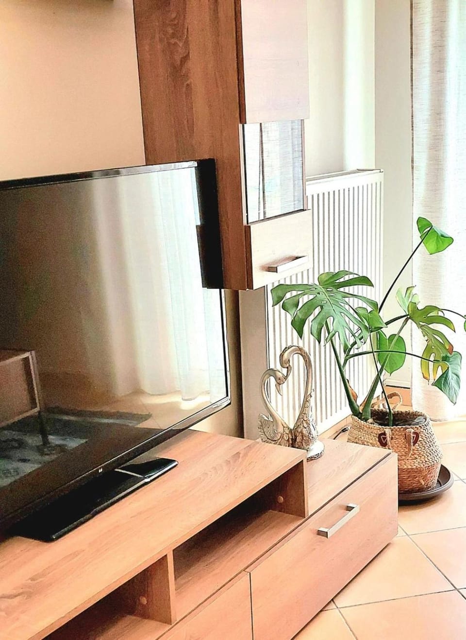 TV and multimedia