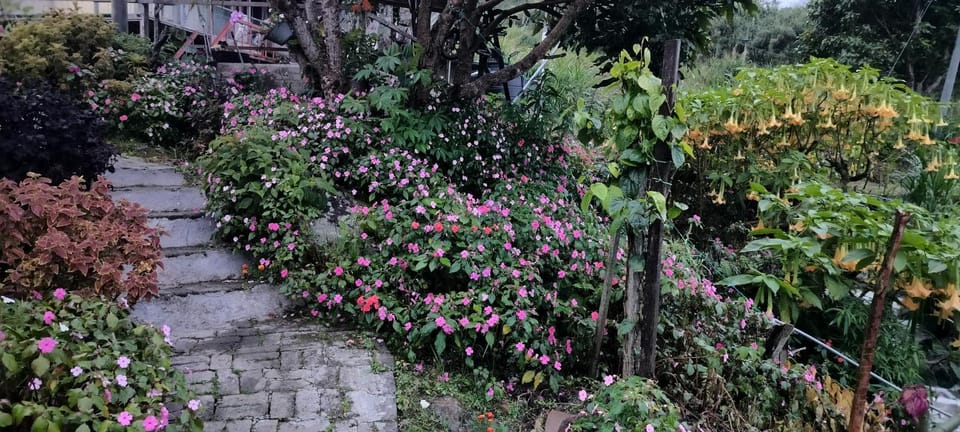 KOMOWANAN HOMESTAY House in Sabah