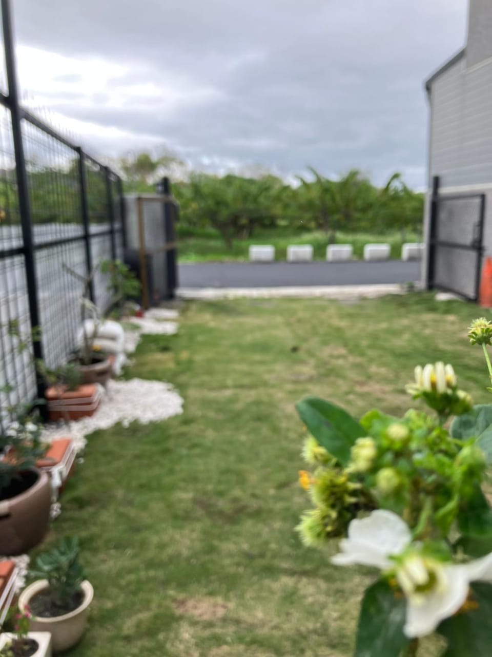 Garden, Garden