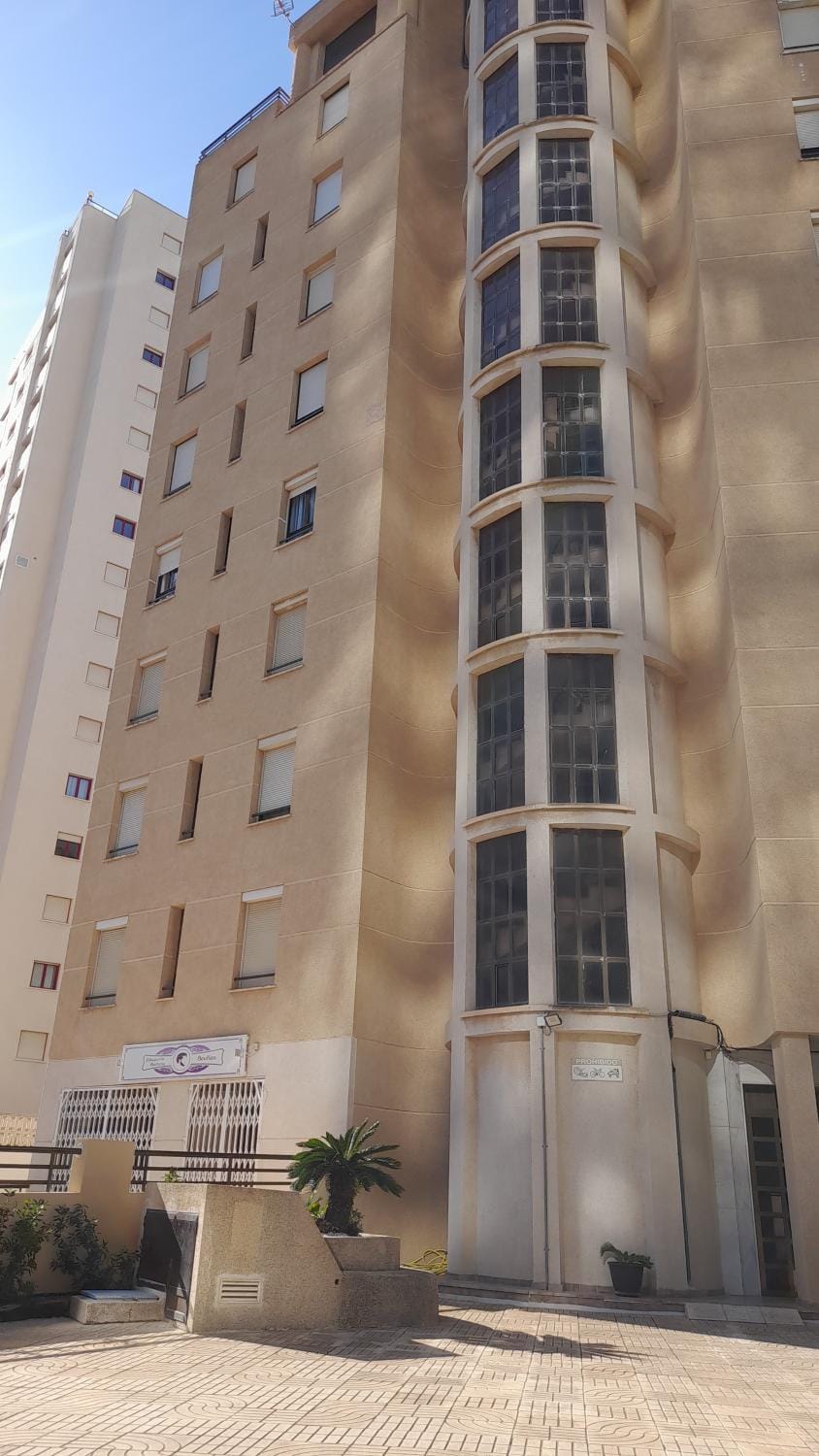 Property building, Day