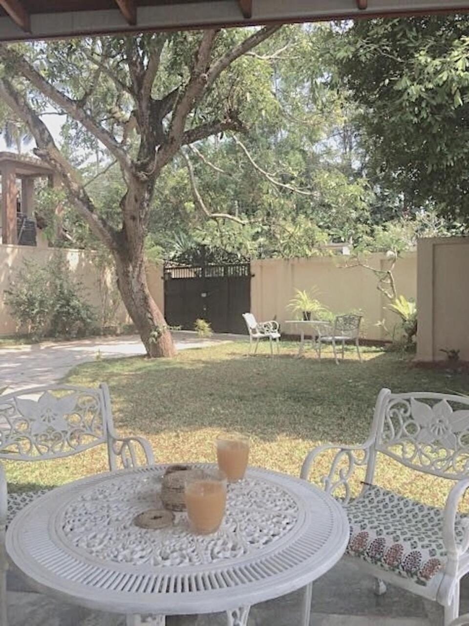 Garden view