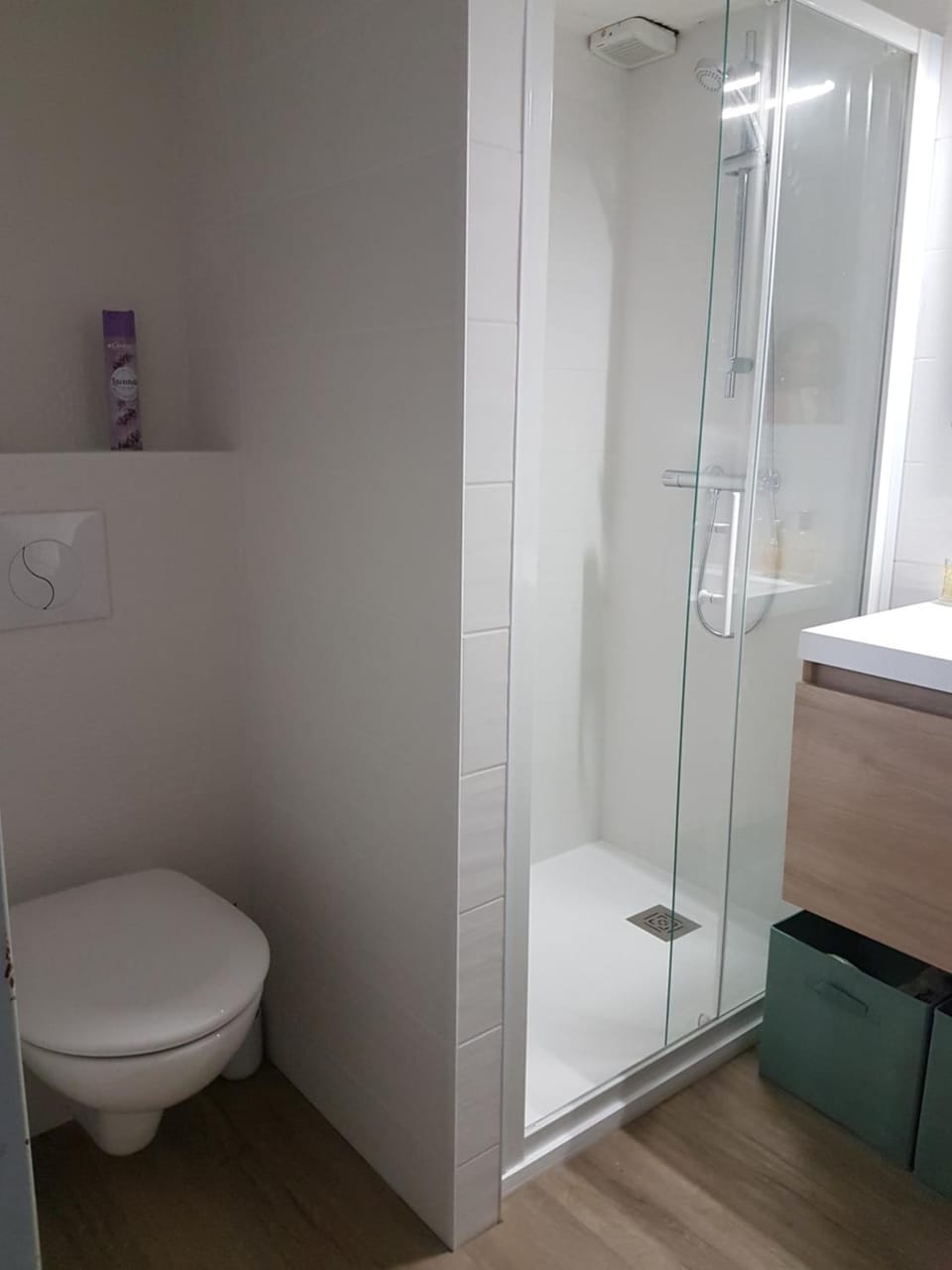 Toilet, Bathroom
