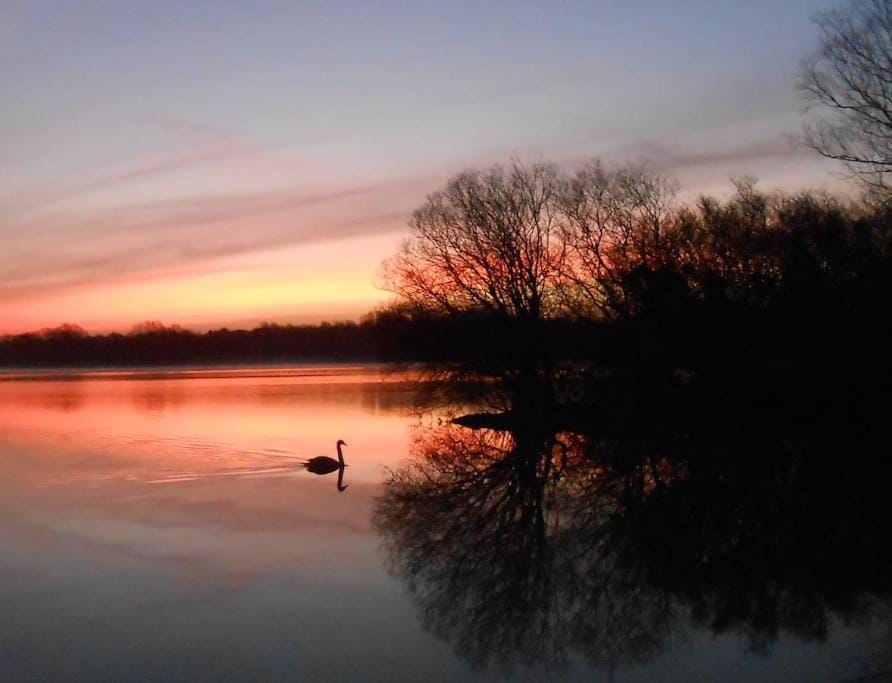 Natural landscape, Lake view, Sunset