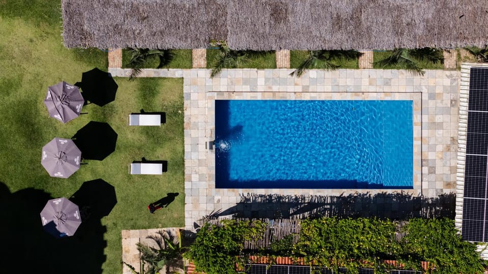 Garden, Pool view, Swimming pool
