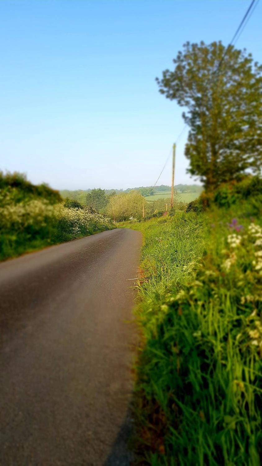 Appleton House Bed and Breakfast in West Devon District