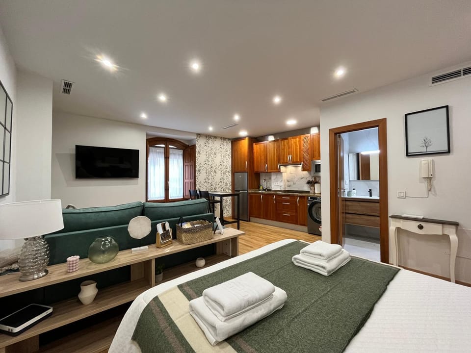 Bed, TV and multimedia, Kitchen or kitchenette, Photo of the whole room, Bedroom, towels