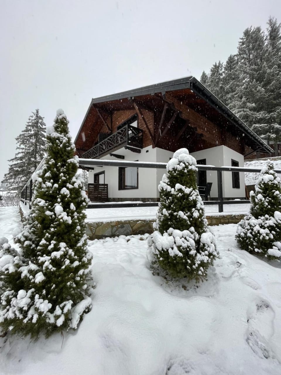 Property building, Natural landscape, Winter