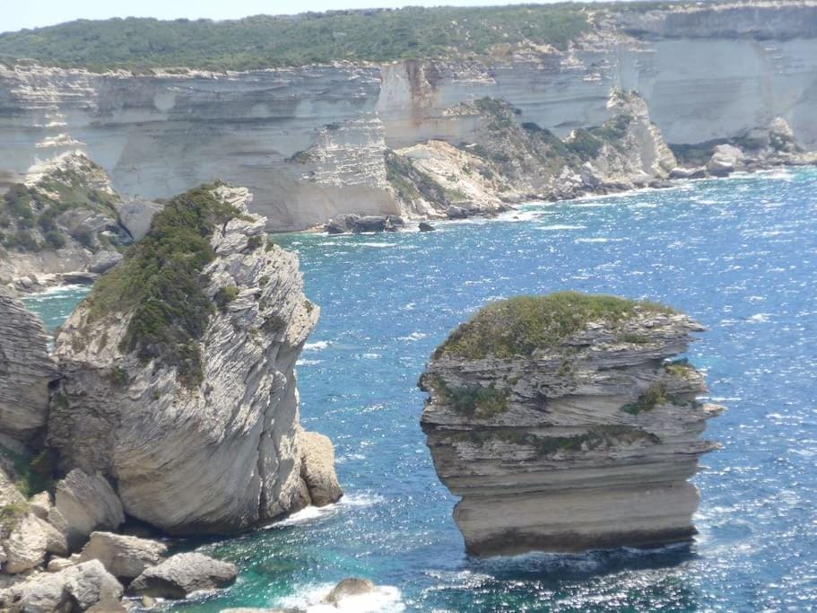 Duplex sur un fameux Grain de sable Apartment in Bonifacio