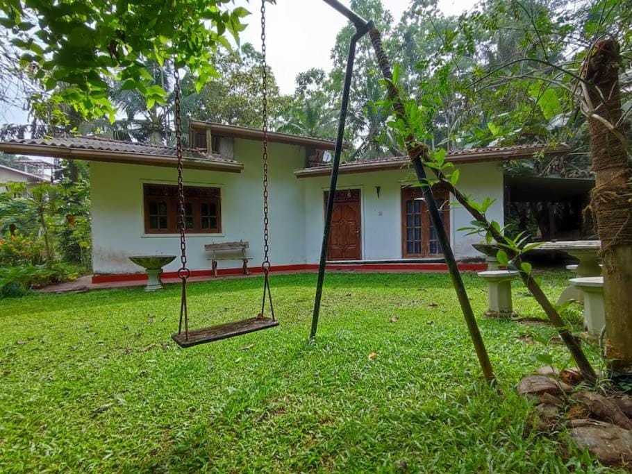 Natural landscape, Garden, Garden view