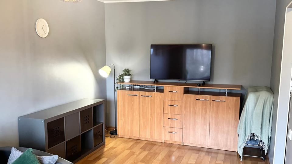 TV and multimedia