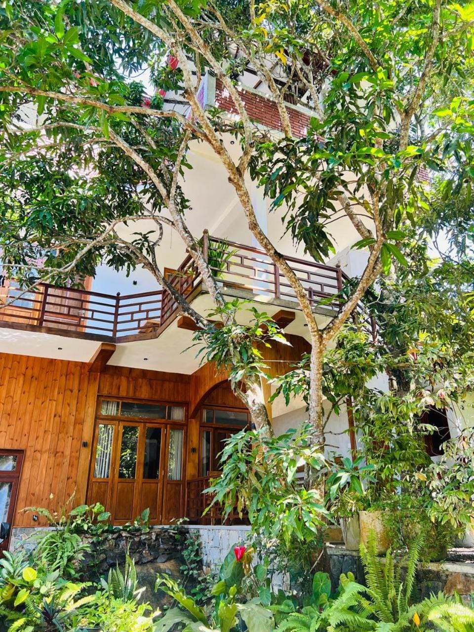Jungle Escape Hiriketiya Bed and Breakfast in Southern Province