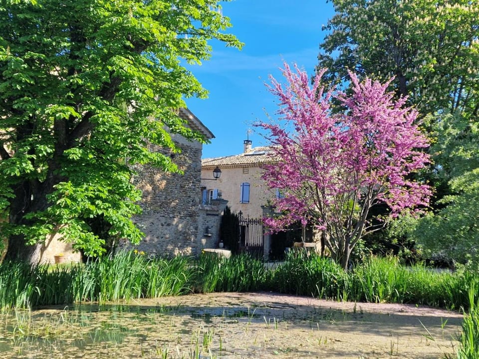 gite le figuier-La Roseraie du Val'ensoleillé House in Valensole