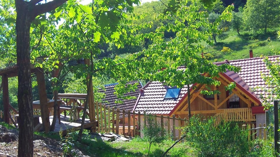 Property building, Garden view