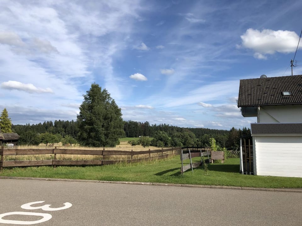 Neighbourhood, Natural landscape, Summer, View (from property/room), Mountain view, Quiet street view
