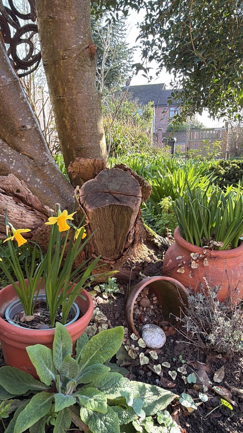 Beehive Cottage House in Beccles