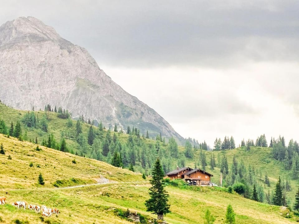 Natural landscape, Summer, Hiking, Mountain view