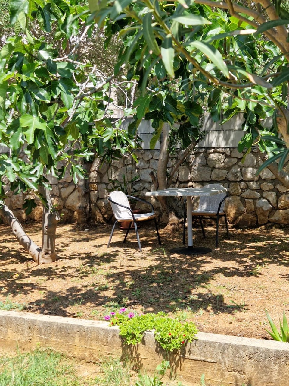 Garden, Garden view