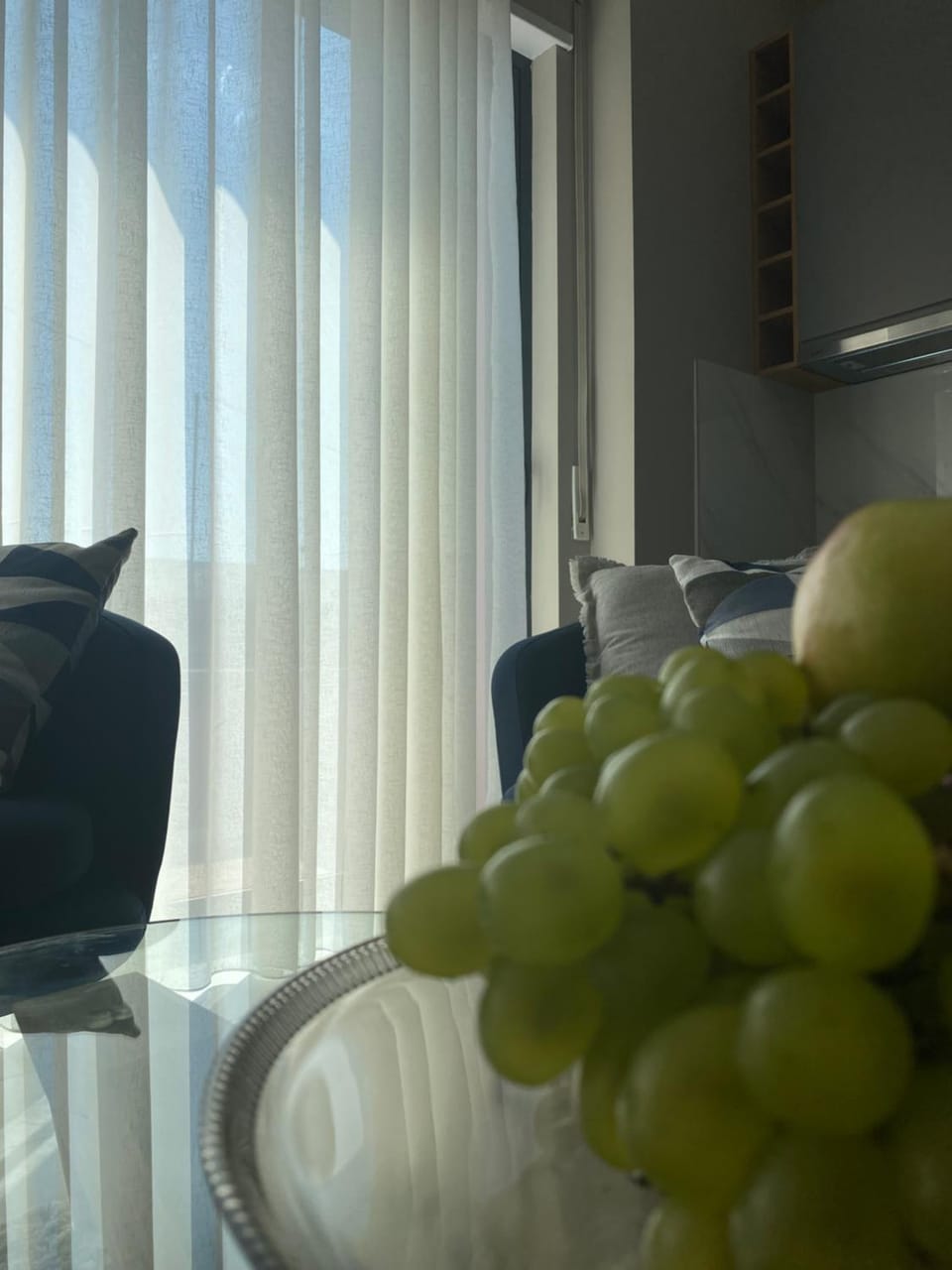 Alma Rose Apartment Apartment in North Macedonia