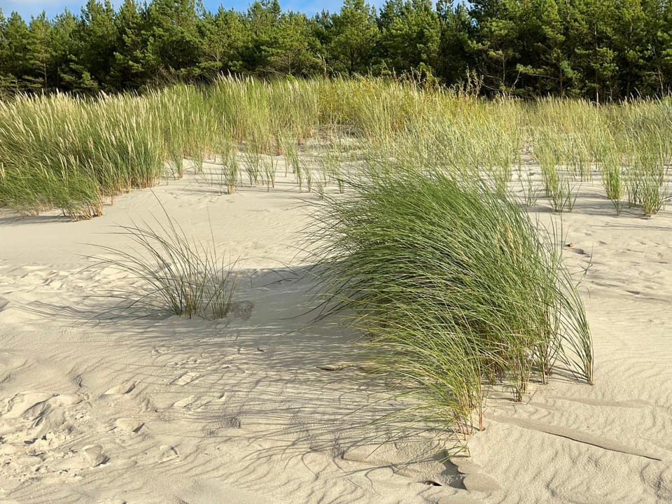 Natural landscape, Beach