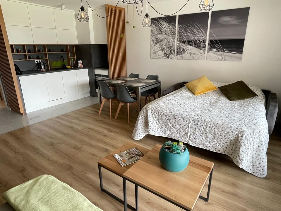 Bed, Kitchen or kitchenette, Living room, Photo of the whole room, Seating area, Dining area, Bedroom