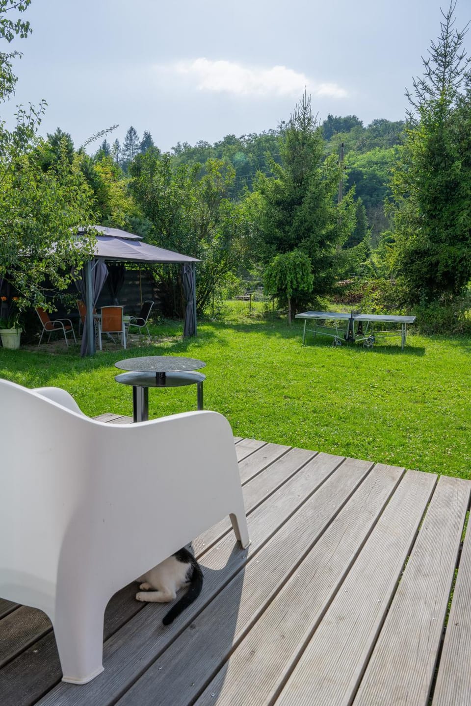 Garden view