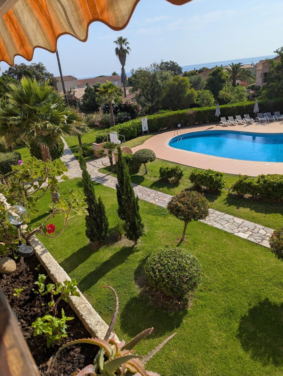 Garden view