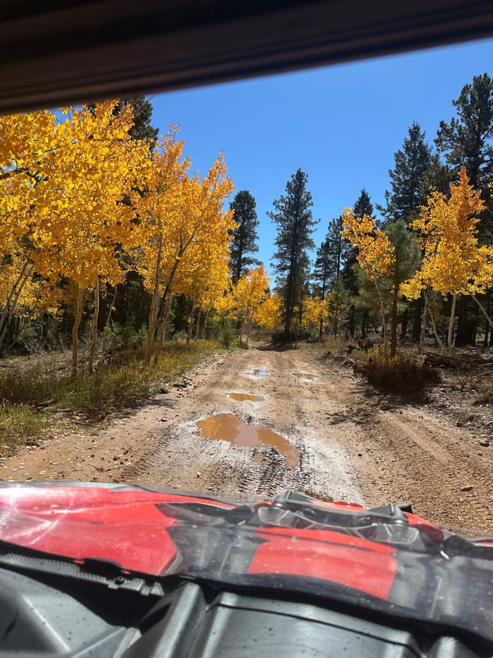 Nearby landmark, Natural landscape, Activities, Autumn